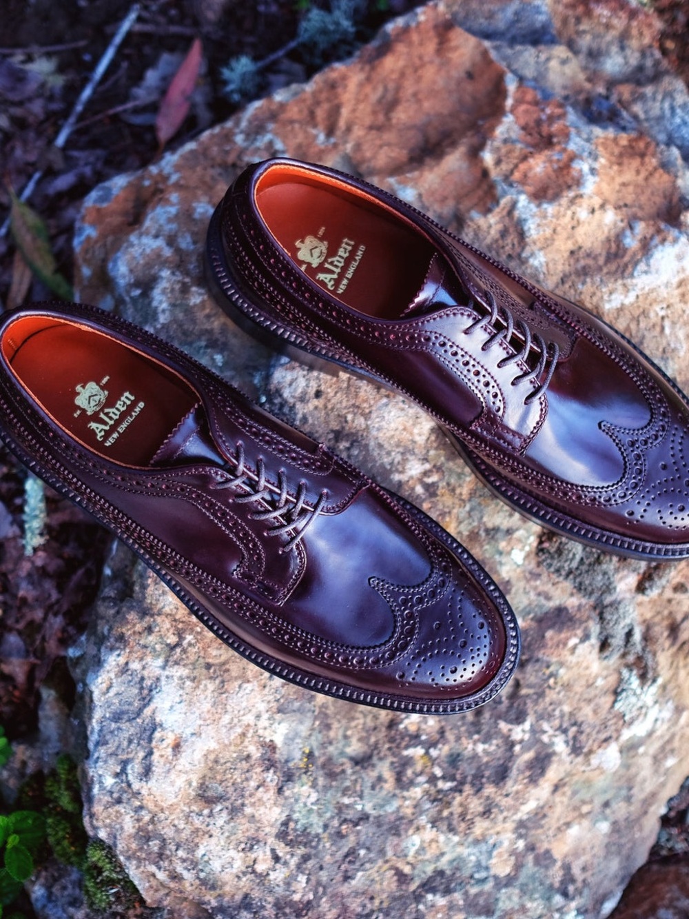 Alden 975 Long Wing Blucher Color 8 Shell Cordovan Shoes 9.5 B/D Like New